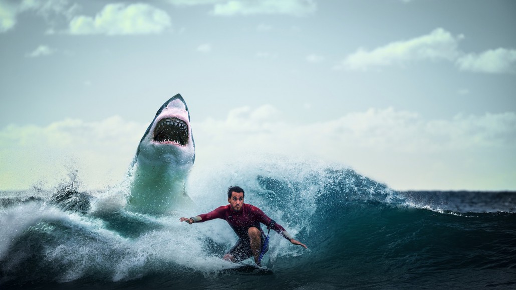 shark-3740292_1280