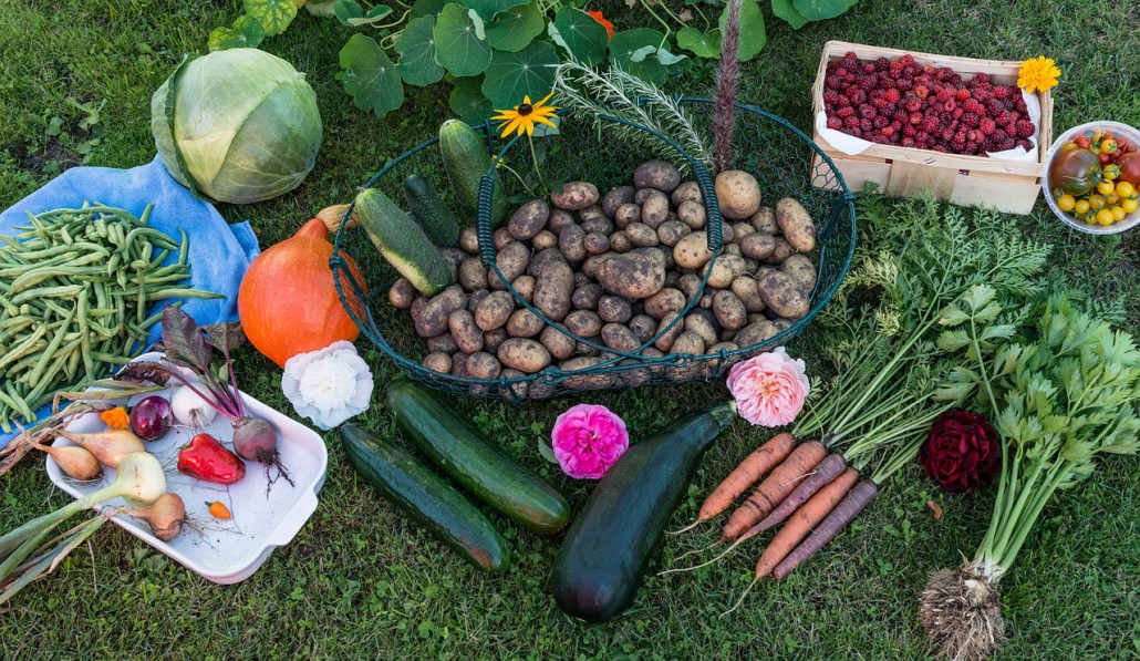 Cibo, ambiente e salute: come cambiano le nostre esigenze