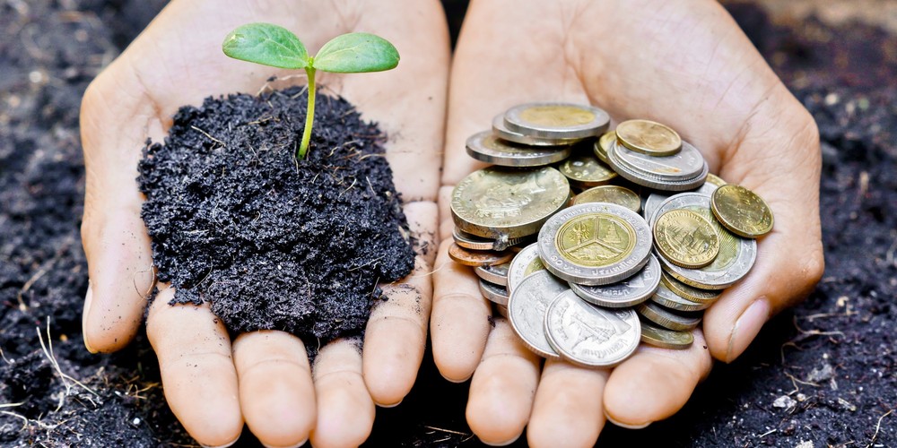 B Corp Italia: le 100 aziende che fanno business per rigenerare società e ambiente