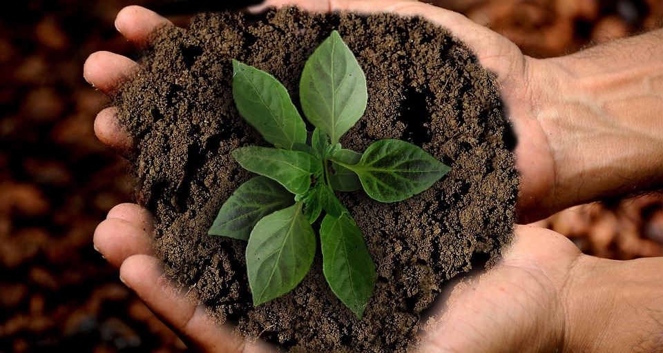 La TERRApeutica: la cura di sé parte dalla terra