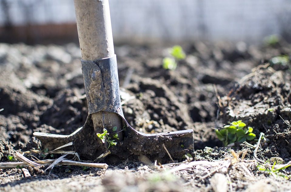 Fanghi: una risorsa per i suoli agricoli, ma solo se non contaminati