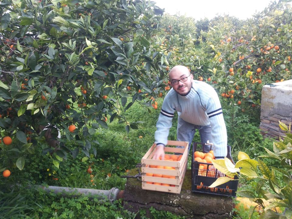 Una rete di contadini per salvare l'agricoltura naturale della Sicilia