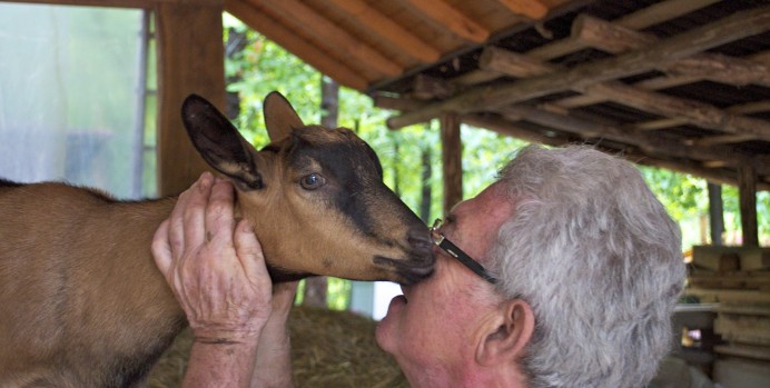 “La mia pensione? La dedico agli animali feriti”