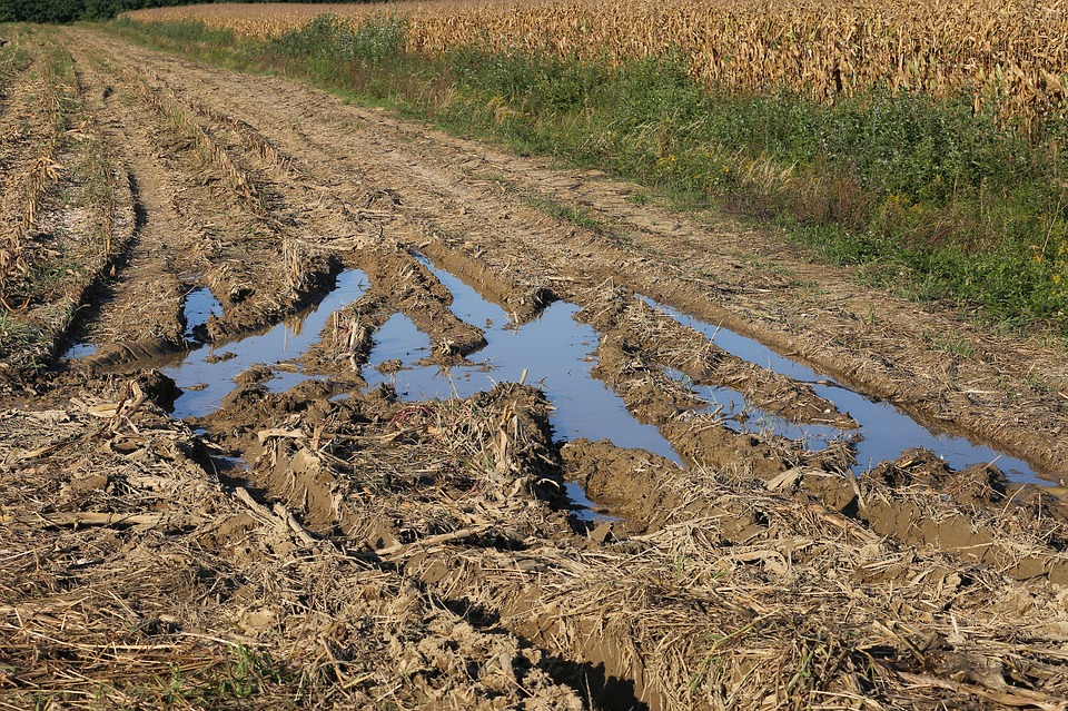 tractor-road-3712920_960_720