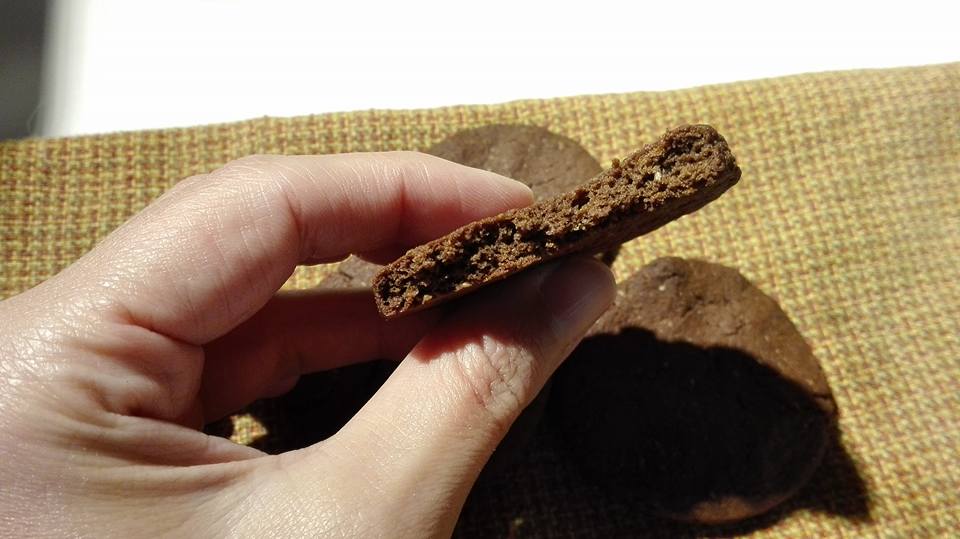 Ricette #19 – Biscotti natalizi al cacao