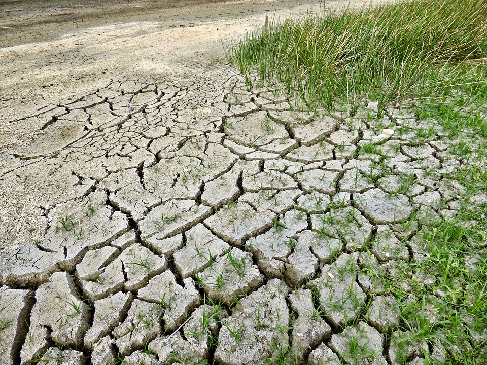 climate-change-2241061_960_720