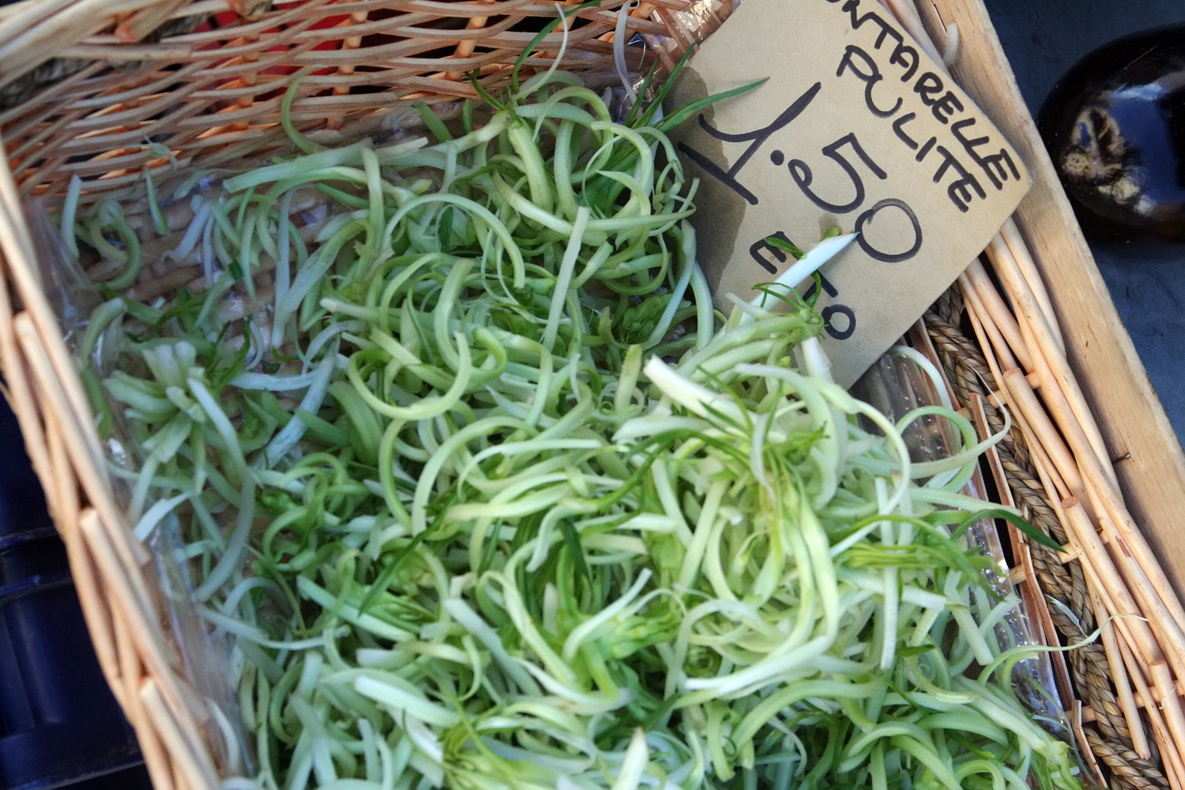 Ricette #18 – Puntarelle romane in insalata