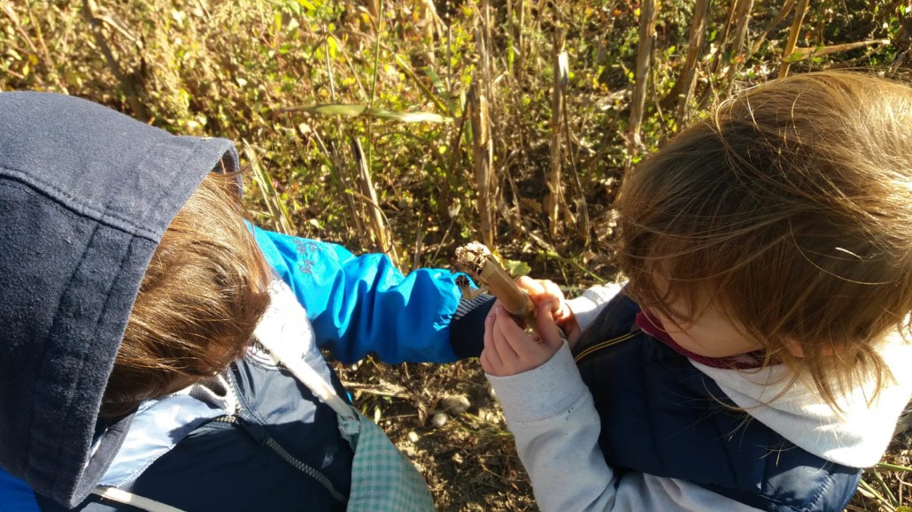 Praticare il futuro in una Cascina alle porte di Milano