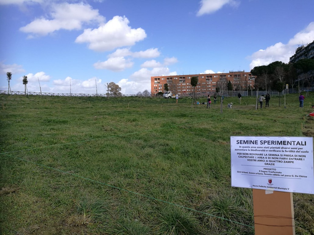 Un “sogno trasformato” in realtà: a Roma un parco rinascerà grazie alla permacultura