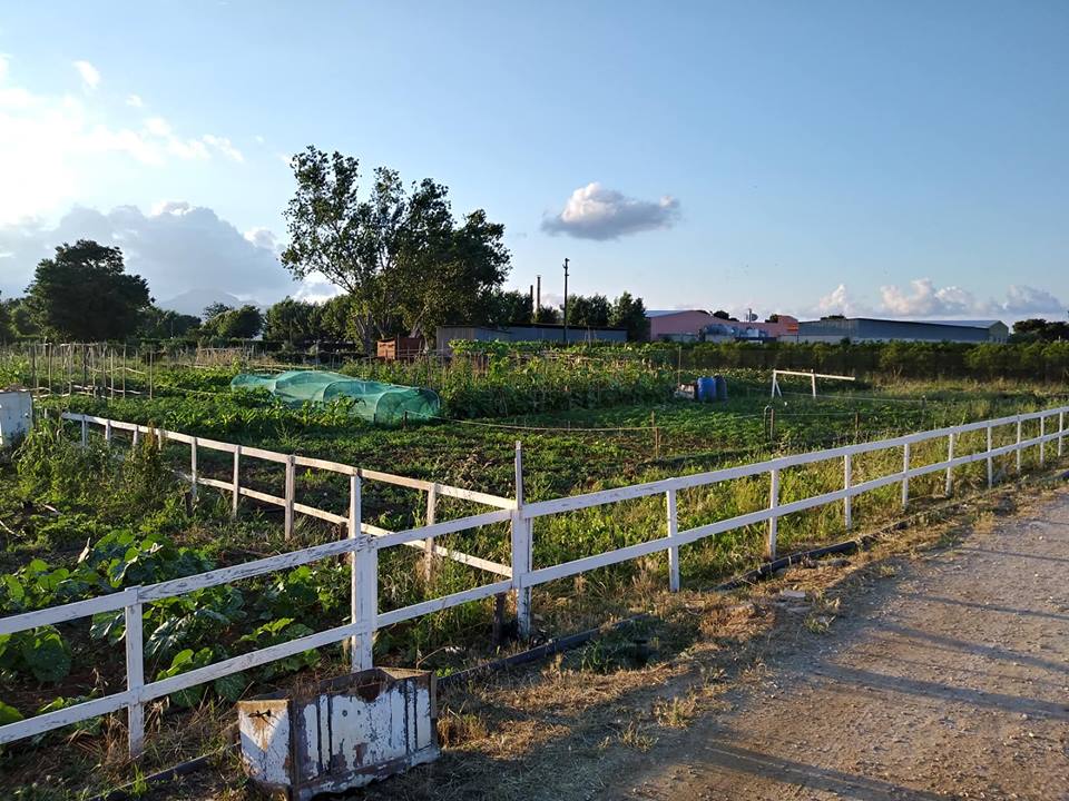Orti sociali in affitto per diffondere nuove Colture