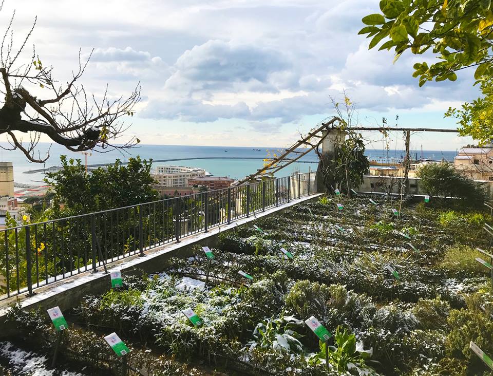 giardino-minerva