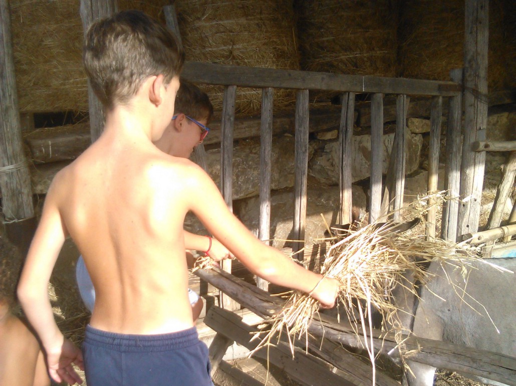 "Giro le campagne lavorando in fattoria con i miei figli"