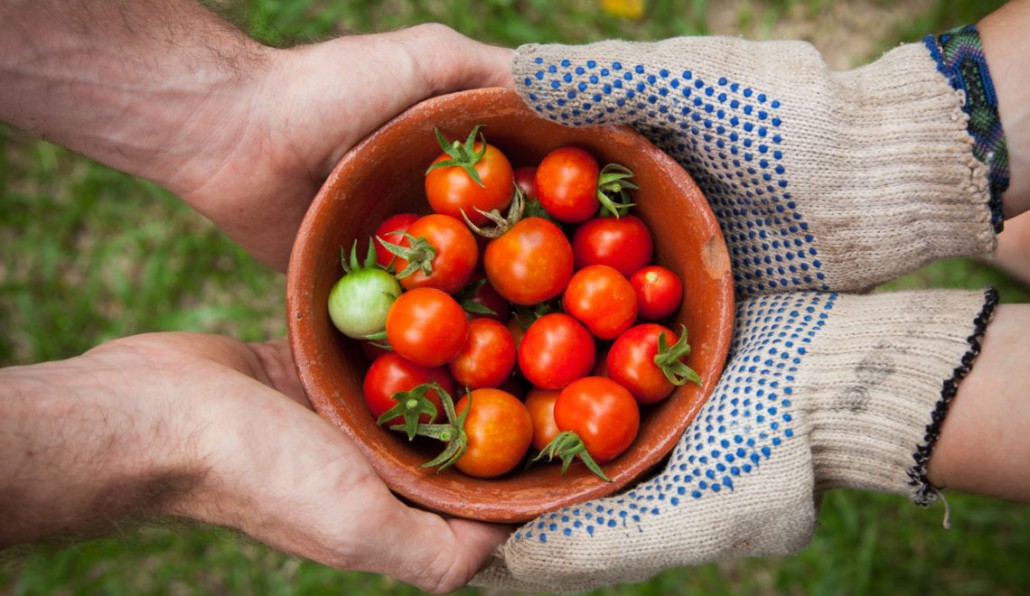 CAES e Assimoco per l’agricoltura sociale e biologica
