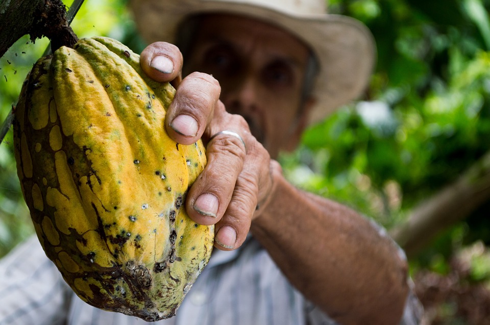 Biodiversità: rischiamo il collasso del sistema alimentare