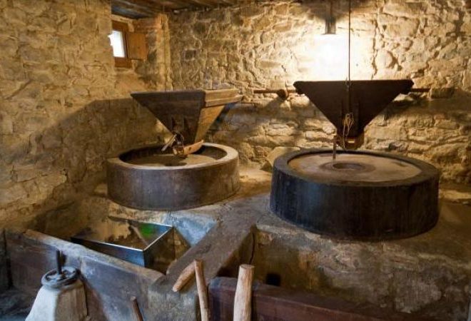 ecomuseo casentino e agricoltural heritage systems