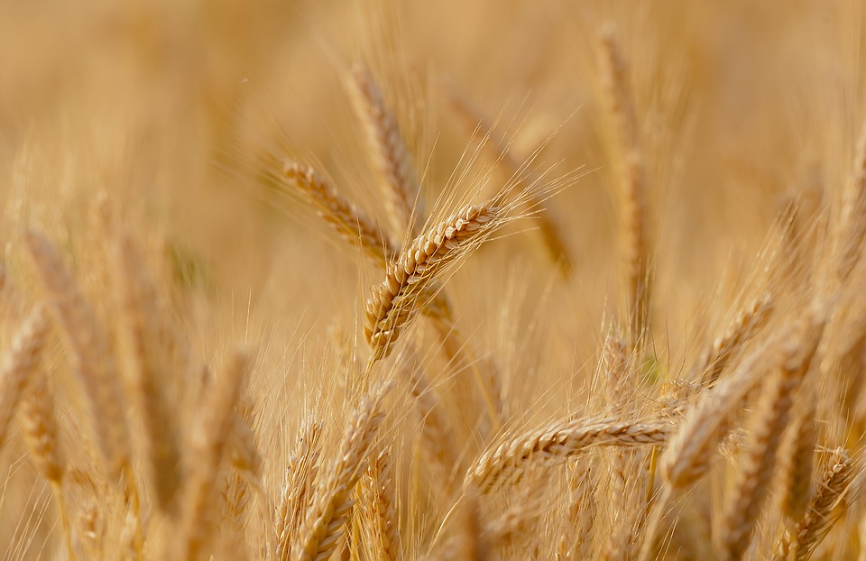 ora-in-piemonte-nuova-legge-agricoltura-3