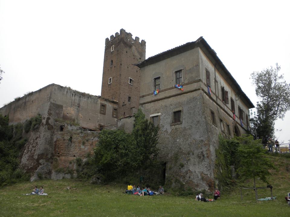 cervelletta-