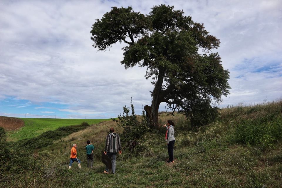 reforest-matera-5