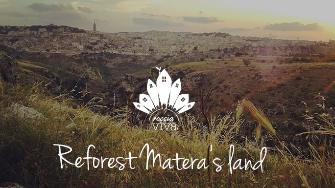 reforest-matera