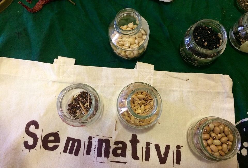 Torna "Scambia semi", la festa dello scambio di semi