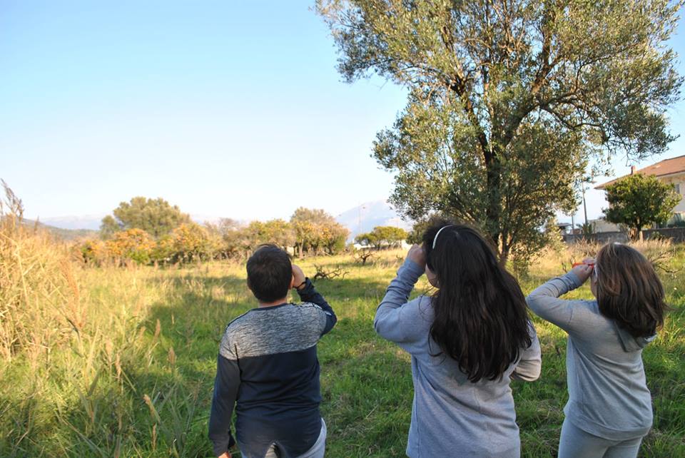 La scuola, un laboratorio per il domani. Maria de Biase e i Fridays for Future
