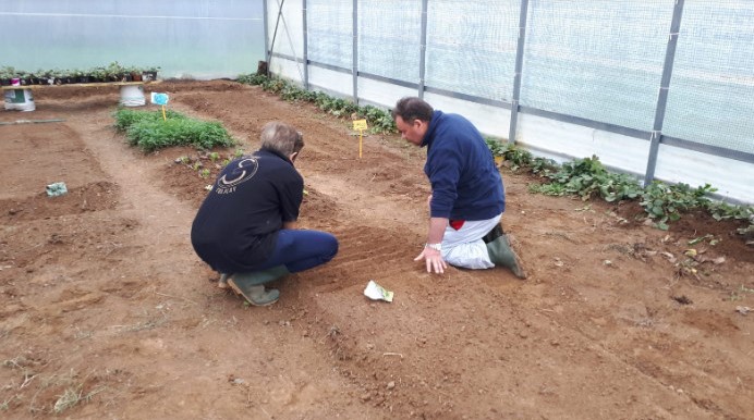 Agricoltura e lavoro cambiano la vita dei giovani con autismo