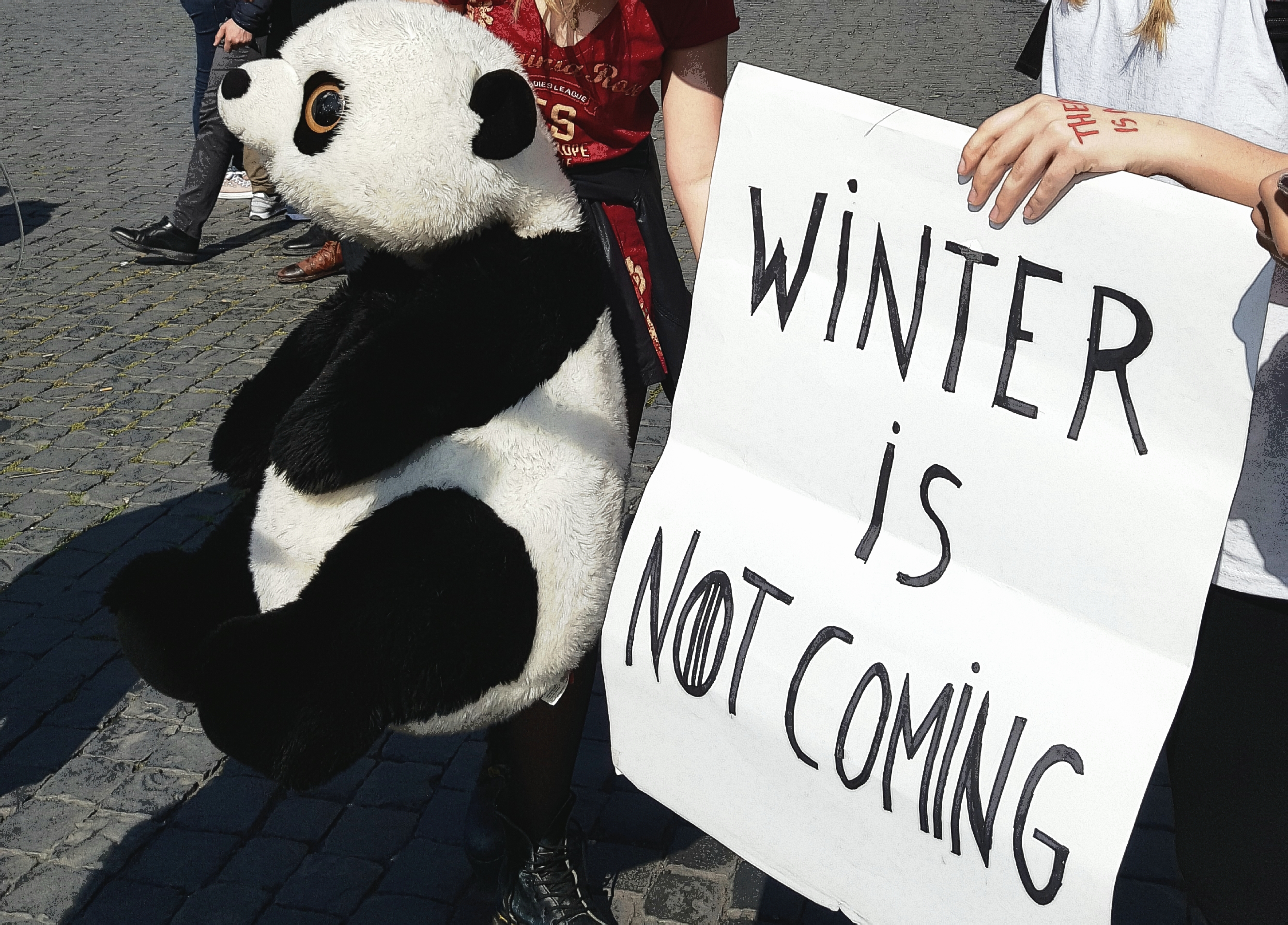 Emergenza climatica: cosa sta facendo l'Europa?