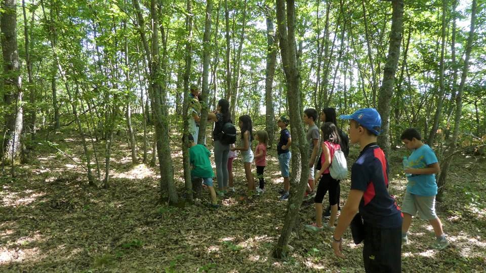 Campi estivi per i bambini terremotati del centro Italia