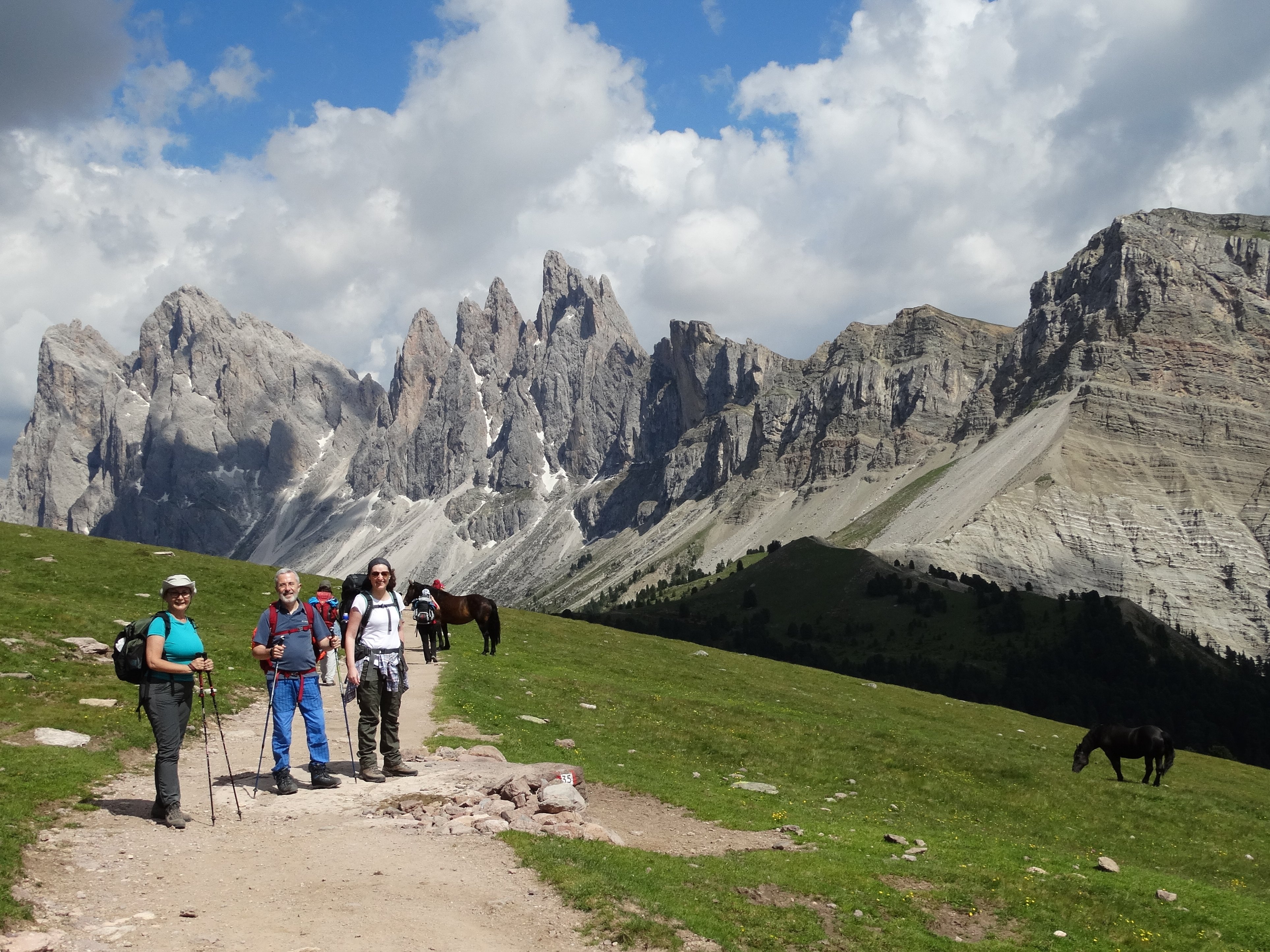 Camminare sulle Alpi con lentezza: cinque proposte per vivere la montagna