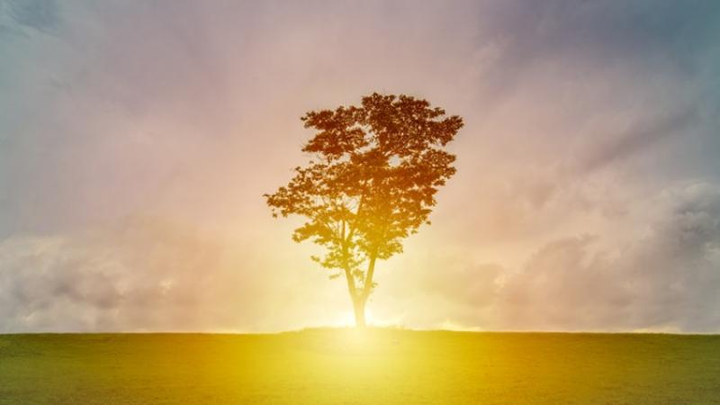 esperienze-ecologia-comunicazioni-rapporto-medico-paziente