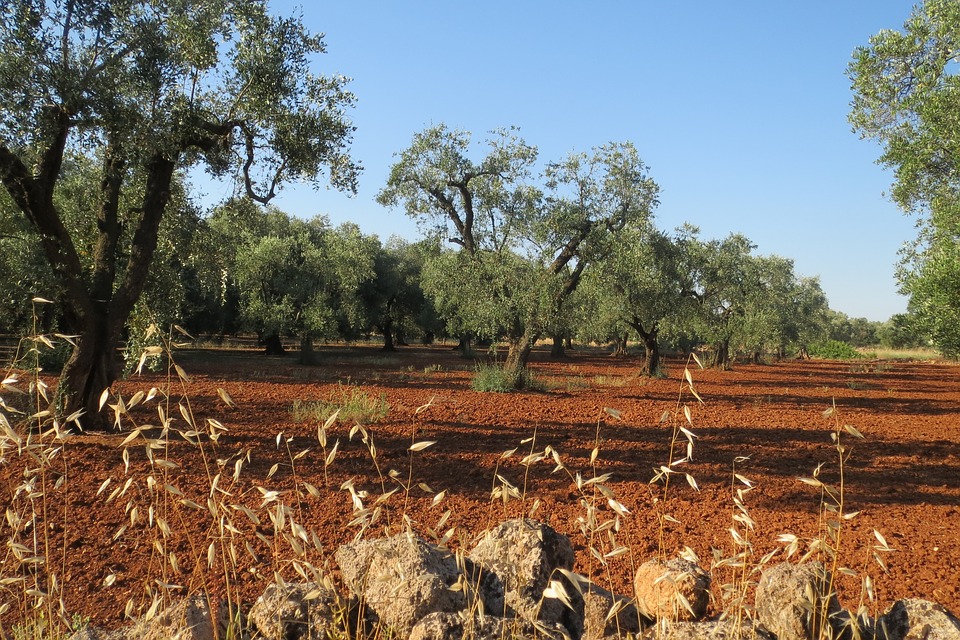 salento-2320421_960_720