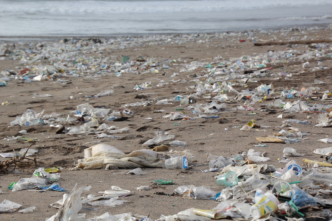 Plastic Radar: come segnalare da WhatsApp la plastica nelle acque