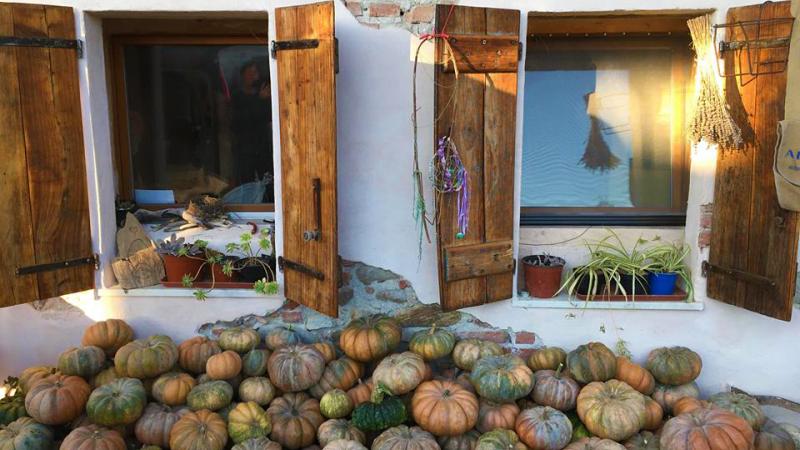 Nasce la scuola di Agricoltura Indigena: un percorso di autoproduzione e riscoperta delle tradizioni