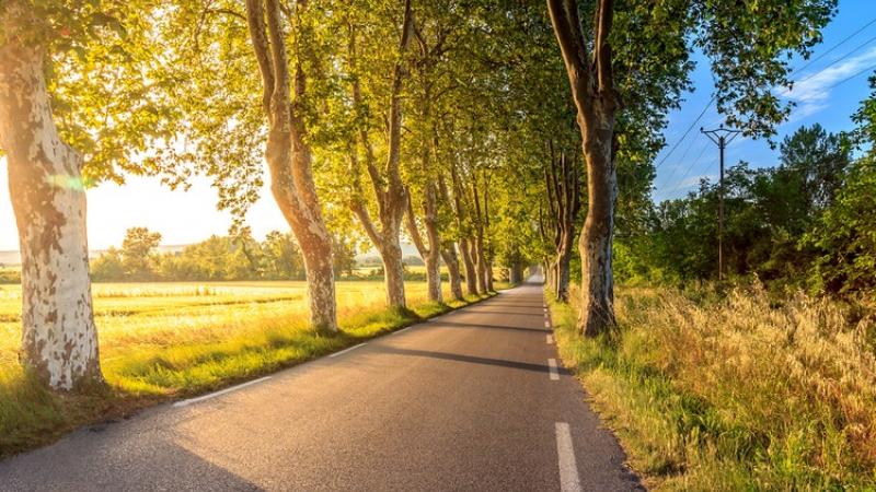 Racconti on the road di un viaggio… nel Piemonte che Cambia