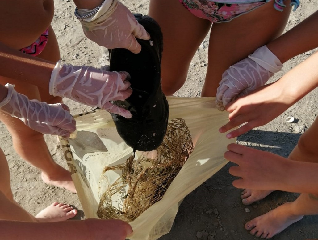 spiaggia 5