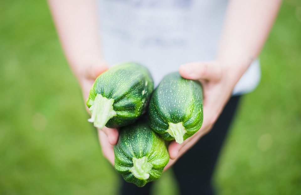 zucchinis-1869941_960_720