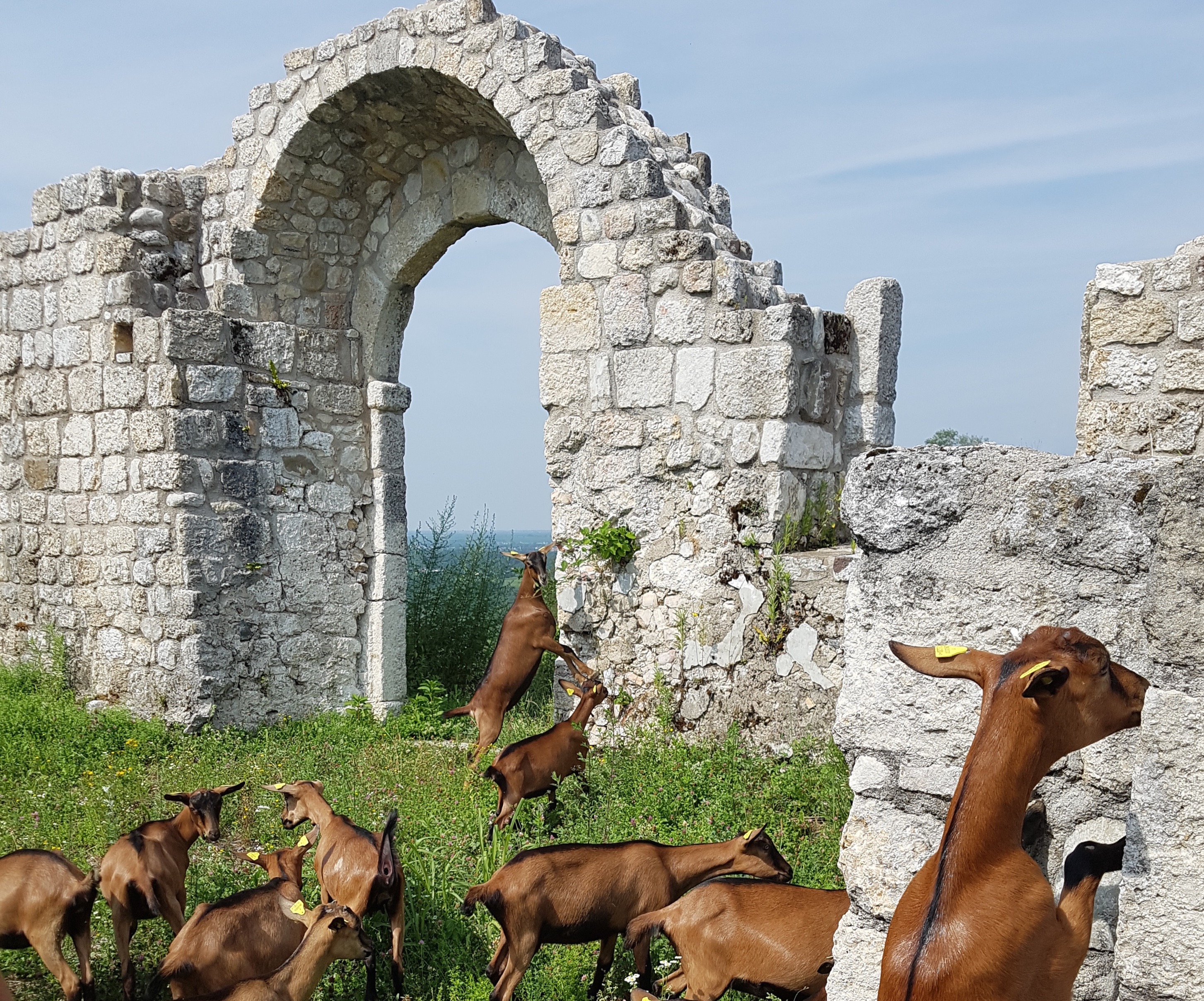 Il “Modello Pinzano”: il restauro del paesaggio attraverso un’economia locale autosostenibile