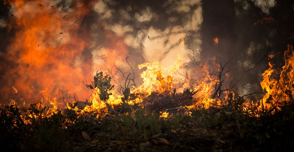 L’Amazzonia è in fiamme anche per colpa nostra