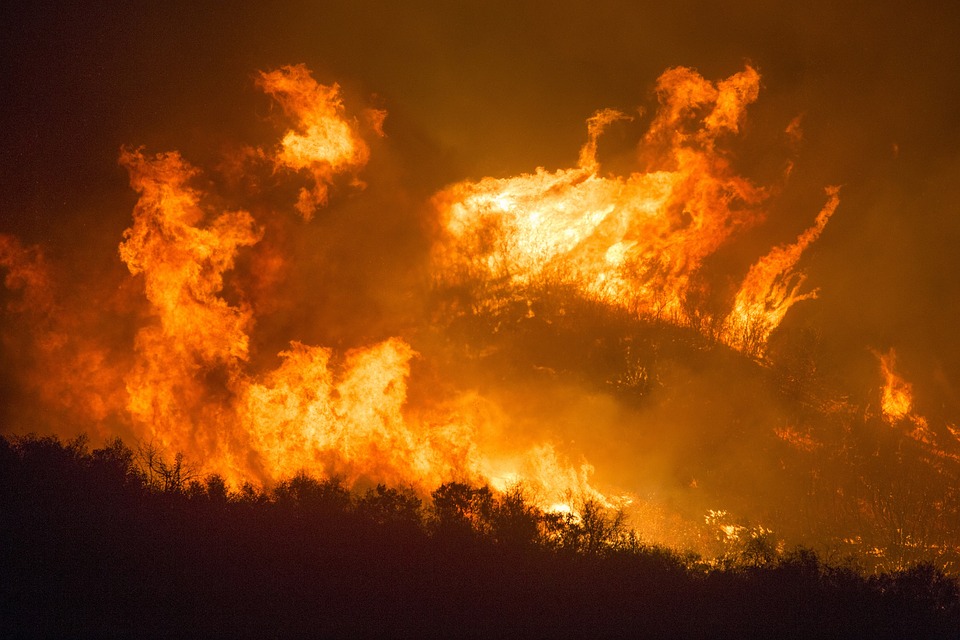 Incendi: a rischio in Africa la seconda foresta pluviale del pianeta