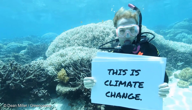 Great Barrier Reef Mass Coral Bleaching Event