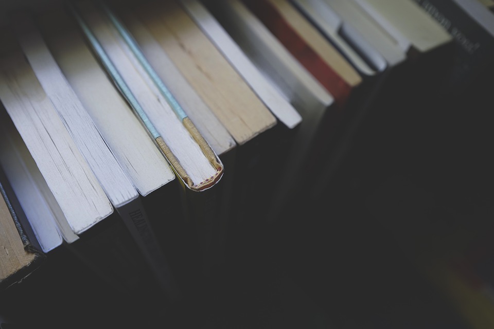 books-1835753_960_720