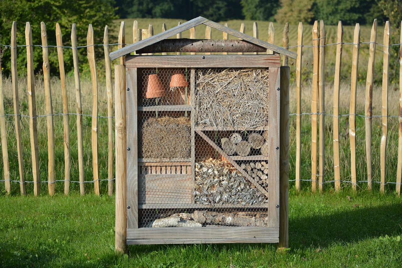 house-insects-2782001_1280