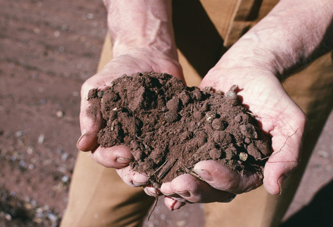agricoltura omeodinamica casentino