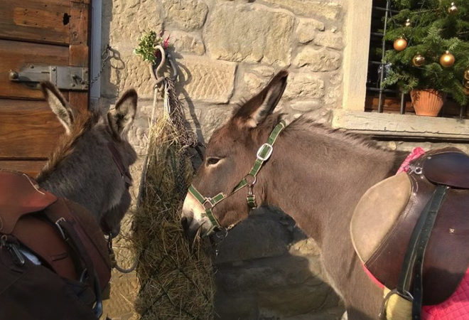 aspettando il natale a montemignaio