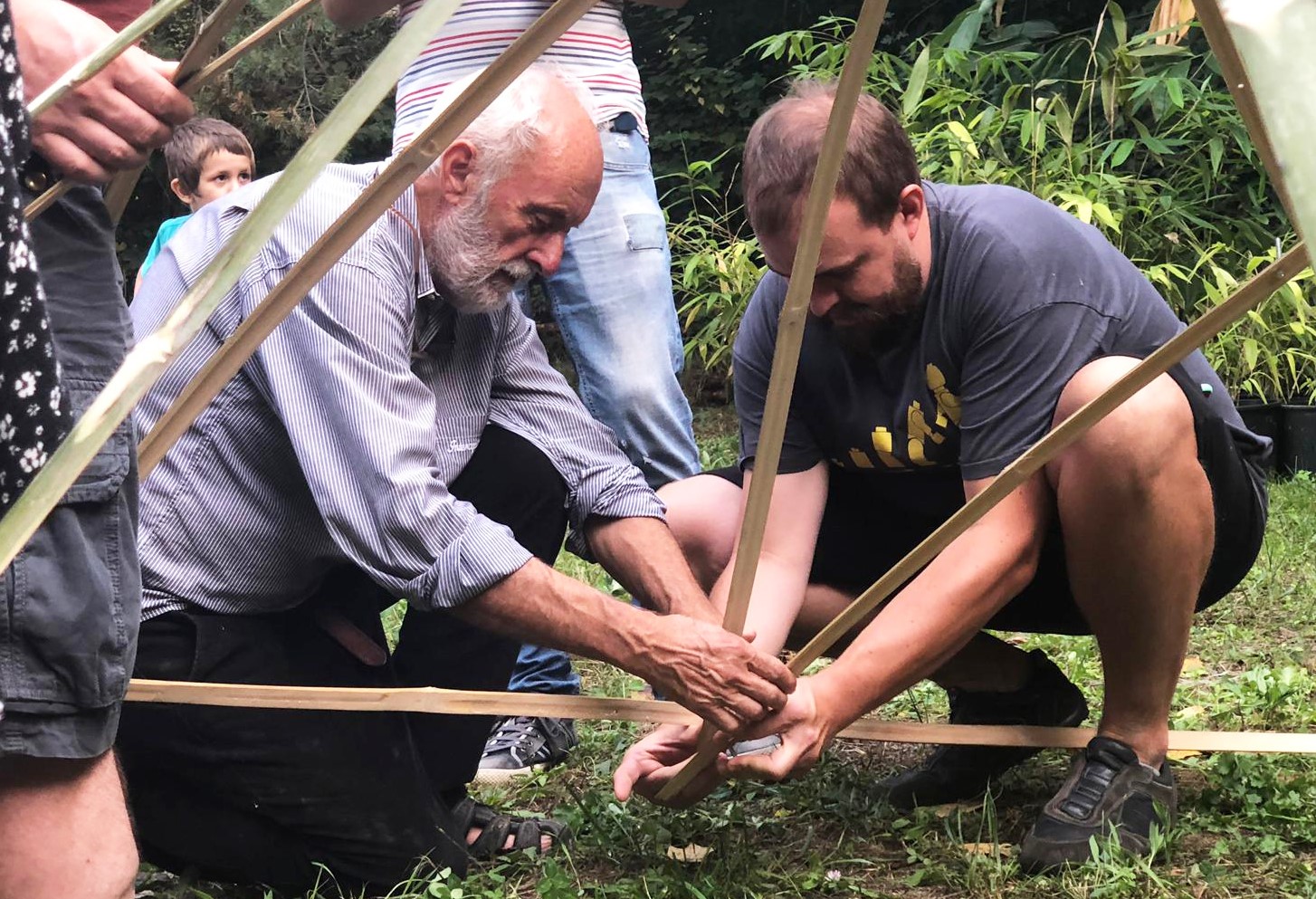 bambu-pianta-futuro-nuova-economia-2