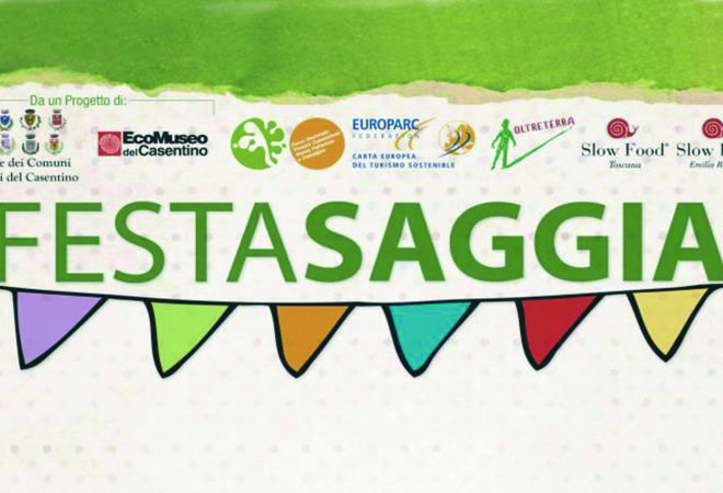 bando festasaggia 2016