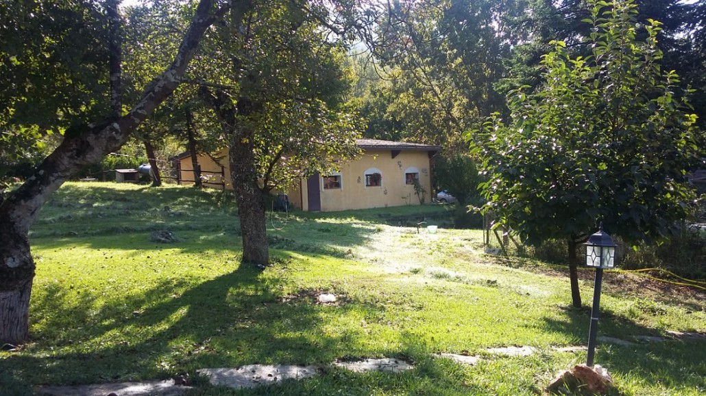 Il Bosco Magico: fra i colli laziali un progetto per cambiare vita