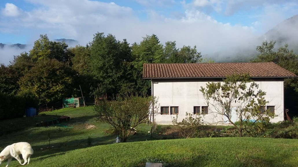 bosco magico 2