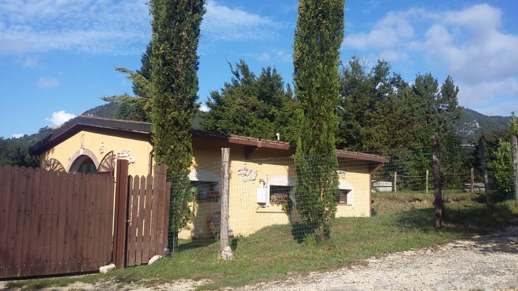 bosco magico 3