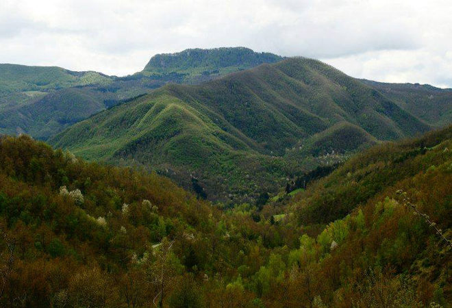 cammina la storia primavera